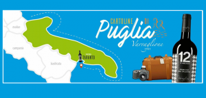 Tour vini Puglia
